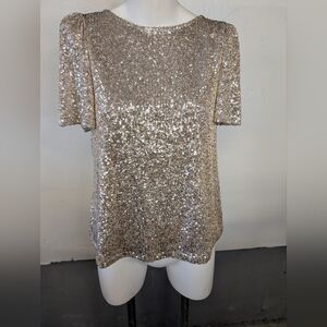 Silver Sequin Short Sleeve Top By Hillary Radley In Size S